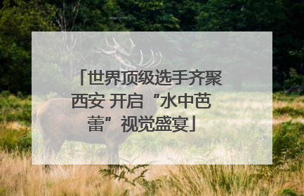 世界顶级选手齐聚西安 开启“水中芭蕾”视觉盛宴