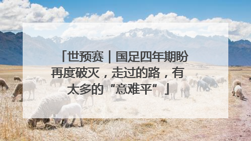 世预赛｜国足四年期盼再度破灭，走过的路，有太多的“意难平”