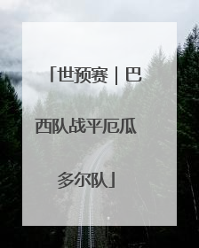 世预赛｜巴西队战平厄瓜多尔队