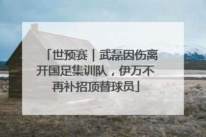 世预赛｜武磊因伤离开国足集训队，伊万不再补招顶替球员