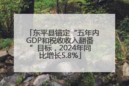 东平县锚定“五年内GDP和税收收入翻番”目标，2024年同比增长5.8%