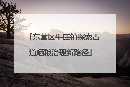 东营区牛庄镇探索占道晒粮治理新路径
