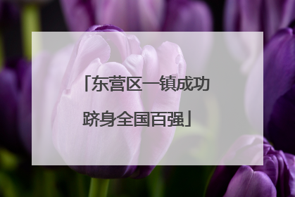 东营区一镇成功跻身全国百强