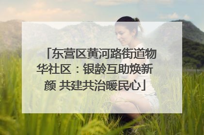 东营区黄河路街道物华社区：银龄互助焕新颜 共建共治暖民心