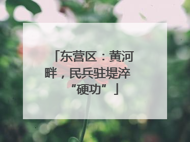 东营区：黄河畔，民兵驻堤淬“硬功”
