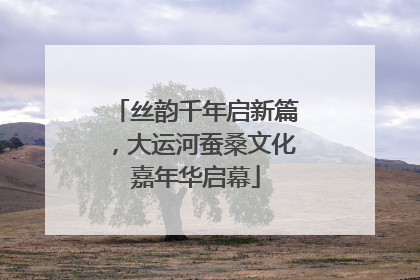 丝韵千年启新篇，大运河蚕桑文化嘉年华启幕