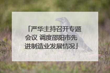 严华主持召开专题会议 调度邵阳市先进制造业发展情况