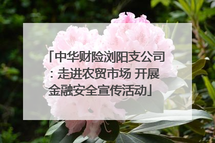 中华财险浏阳支公司：走进农贸市场 开展金融安全宣传活动