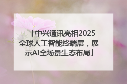 中兴通讯亮相2025全球人工智能终端展，展示AI全场景生态布局