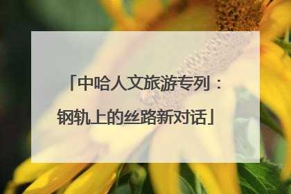 中哈人文旅游专列：钢轨上的丝路新对话