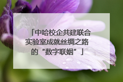 中哈校企共建联合实验室成就丝绸之路的“数字联姻”