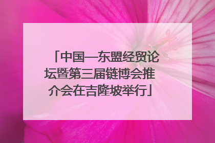 中国—东盟经贸论坛暨第三届链博会推介会在吉隆坡举行
