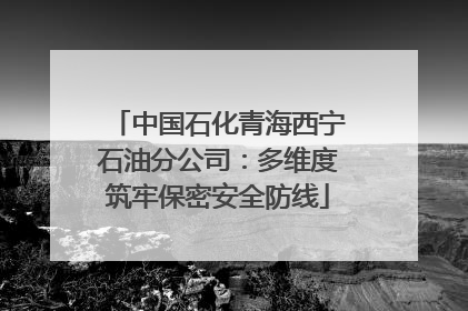 中国石化青海西宁石油分公司：多维度筑牢保密安全防线