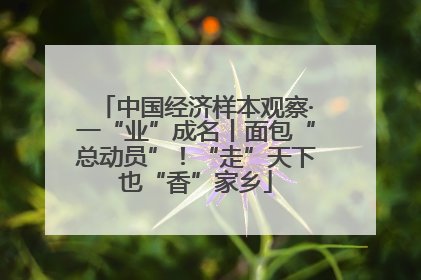 中国经济样本观察·一“业”成名丨面包“总动员”！“走”天下也“香”家乡
