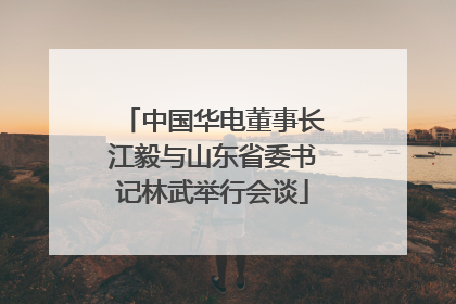 中国华电董事长江毅与山东省委书记林武举行会谈