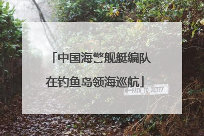 中国海警舰艇编队在钓鱼岛领海巡航