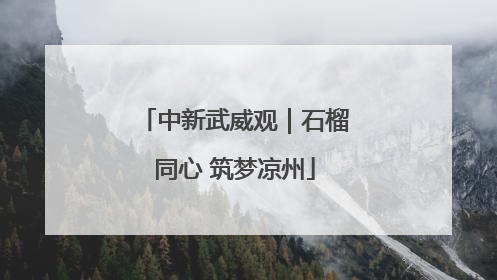 中新武威观｜石榴同心 筑梦凉州