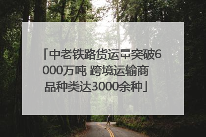中老铁路货运量突破6000万吨 跨境运输商品种类达3000余种