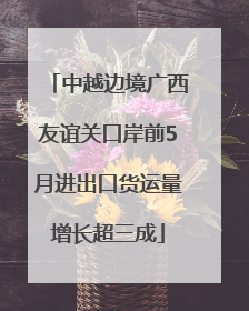 中越边境广西友谊关口岸前5月进出口货运量增长超三成