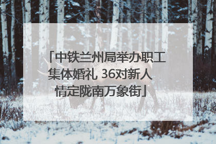 中铁兰州局举办职工集体婚礼 36对新人情定陇南万象街