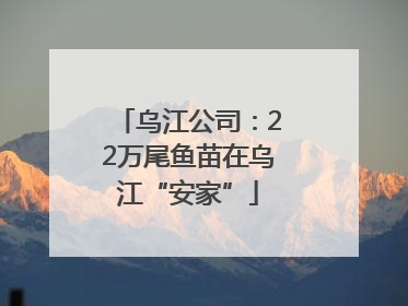 乌江公司：22万尾鱼苗在乌江“安家”