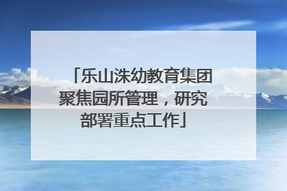 乐山洙幼教育集团聚焦园所管理，研究部署重点工作