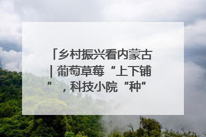 乡村振兴看内蒙古｜葡萄草莓“上下铺”，科技小院“种”出三倍效益