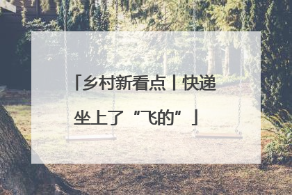 乡村新看点丨快递坐上了“飞的”