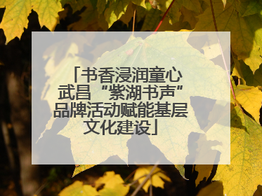 书香浸润童心 武昌“紫湖书声”品牌活动赋能基层文化建设