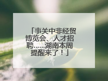 事关中非经贸博览会、人才招聘……湖南本周提醒来了！