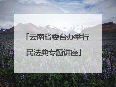 云南省委台办举行民法典专题讲座