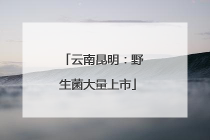 云南昆明：野生菌大量上市