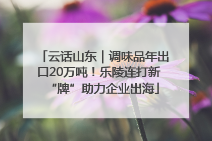 云话山东｜调味品年出口20万吨！乐陵连打新“牌”助力企业出海