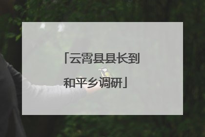 云霄县县长到和平乡调研