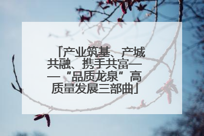 产业筑基、产城共融、携手共富——“品质龙泉”高质量发展三部曲