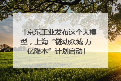 京东工业发布这个大模型，上海“链动众城 万亿降本”计划启动