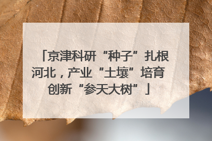 京津科研“种子”扎根河北，产业“土壤”培育创新“参天大树”