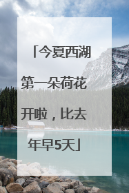 今夏西湖第一朵荷花开啦，比去年早5天