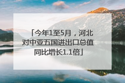 今年1至5月，河北对中亚五国进出口总值同比增长1.1倍