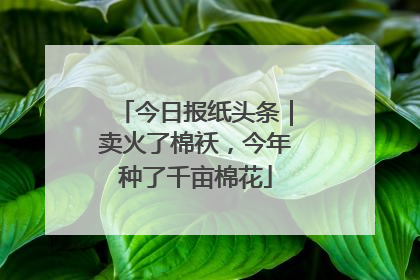 今日报纸头条｜卖火了棉袄，今年种了千亩棉花