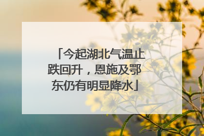 今起湖北气温止跌回升，恩施及鄂东仍有明显降水