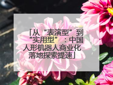 从“表演型”到“实用型”：中国人形机器人商业化落地探索提速