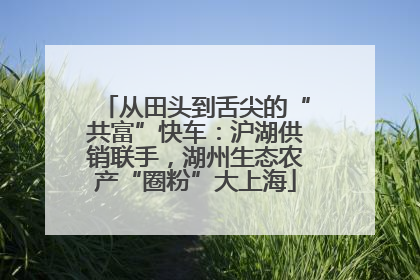 从田头到舌尖的“共富”快车：沪湖供销联手，湖州生态农产“圈粉”大上海
