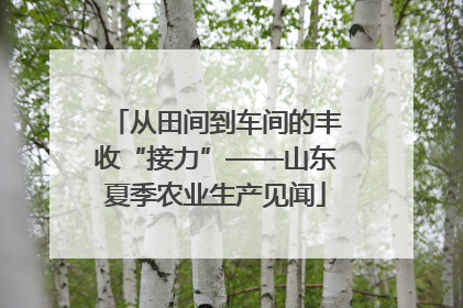 从田间到车间的丰收“接力”——山东夏季农业生产见闻