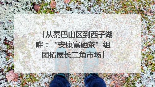 从秦巴山区到西子湖畔：“安康富硒茶”组团拓展长三角市场