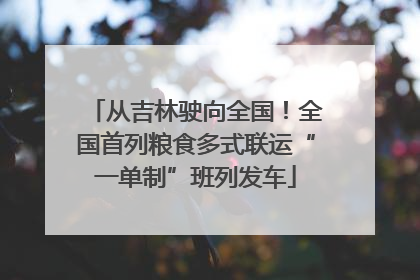从吉林驶向全国！全国首列粮食多式联运“一单制”班列发车