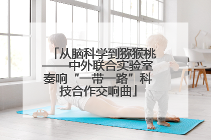 从脑科学到猕猴桃——中外联合实验室奏响“一带一路”科技合作交响曲