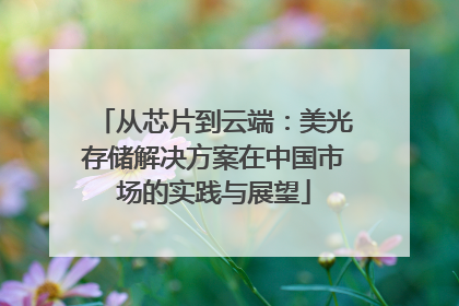 从芯片到云端：美光存储解决方案在中国市场的实践与展望