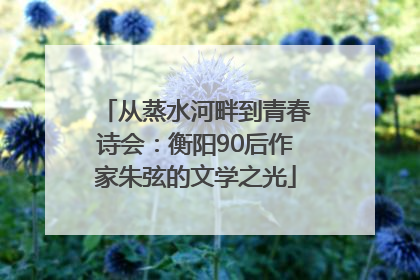 从蒸水河畔到青春诗会：衡阳90后作家朱弦的文学之光