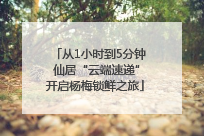 从1小时到5分钟 仙居“云端速递”开启杨梅锁鲜之旅